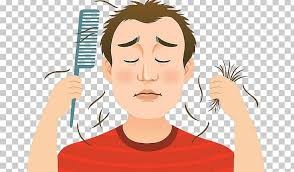 Hair Regrowth  Understanding the Problem and Finding Real Solutions